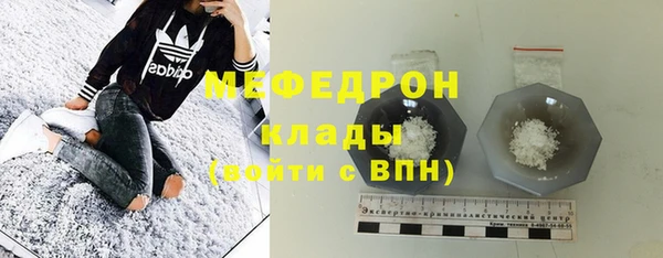 индика Богородицк