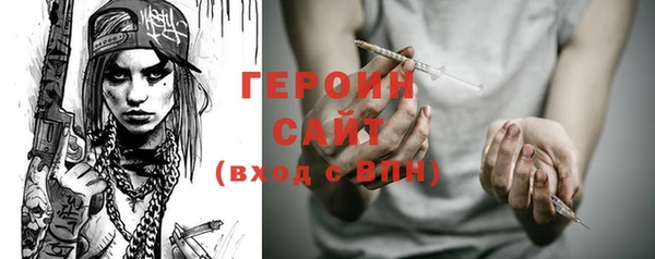 индика Богородицк