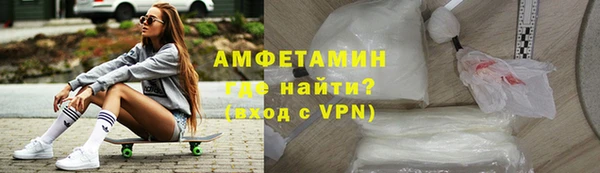 индика Богородицк