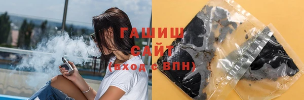 индика Богородицк