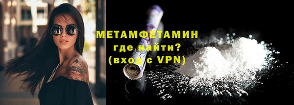 индика Богородицк