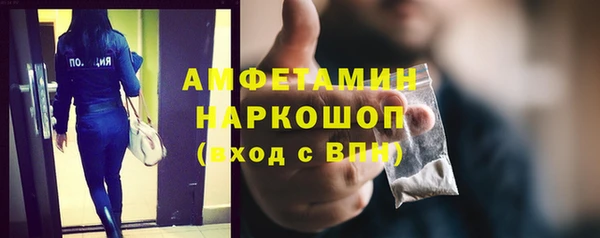 индика Богородицк