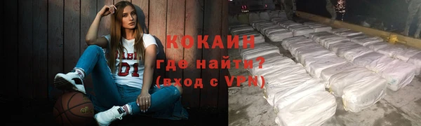 индика Богородицк