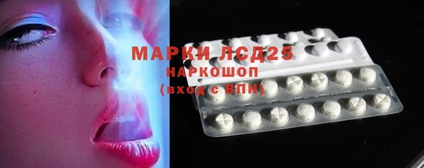 индика Богородицк