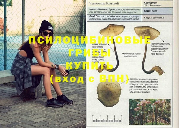 mix Богданович