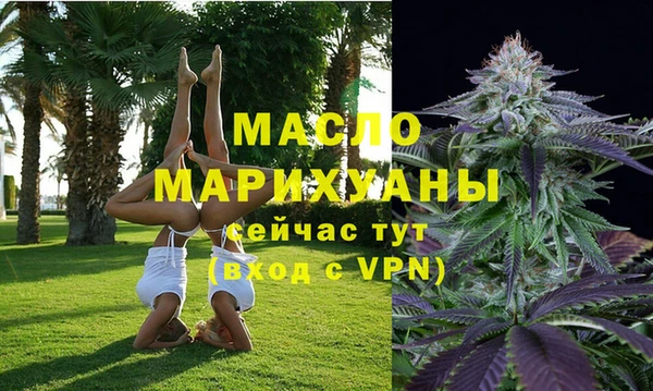 индика Богородицк