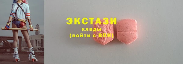 индика Богородицк
