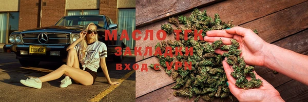индика Богородицк