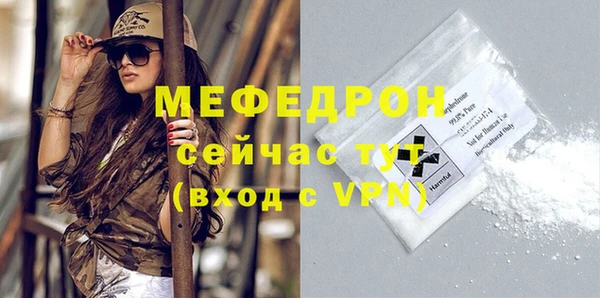 индика Богородицк