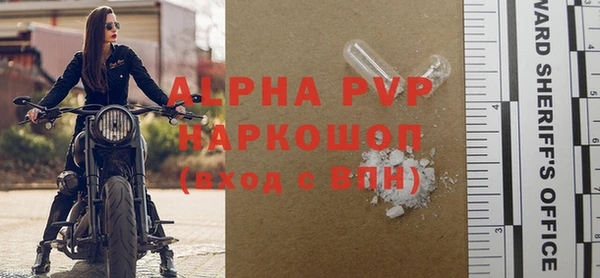 индика Богородицк