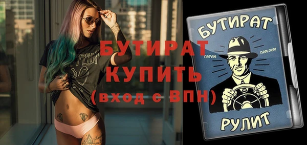 индика Богородицк